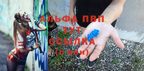 амф Алексин