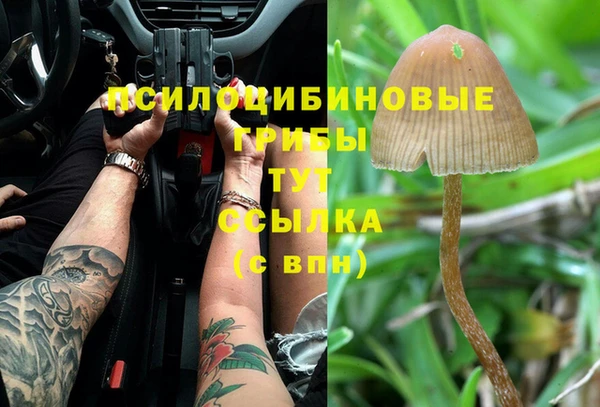 амф Алексин