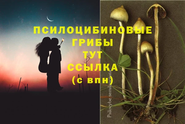 мескалин Алзамай
