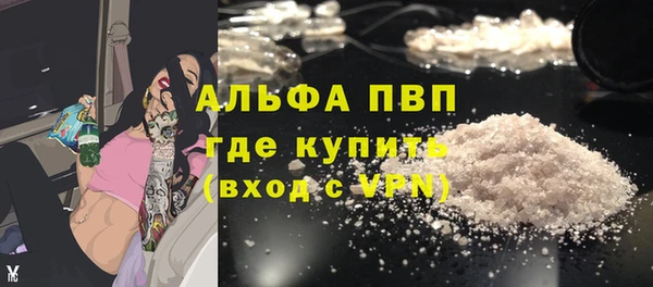 прущие грибы Навашино