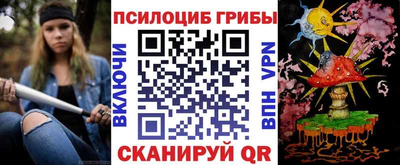 где найти   Аргун  Галлюциногенные грибы Cubensis 